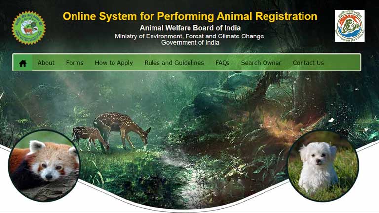 New Online Approval System For Shooting With Animals In Films, TV And Web  Shows In India – TFPC